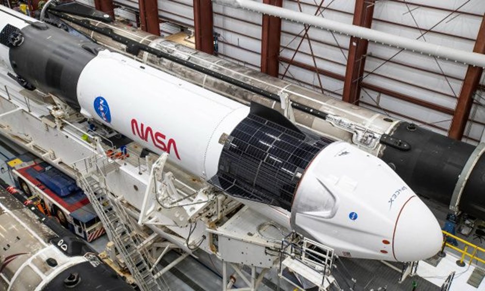 SpaceX ve NASA'nın yavru mürekkep balıkları taşıyan roketi fırlatıldı: İnsanlara çok benzeyen bağışıklık sistemleri var - 5