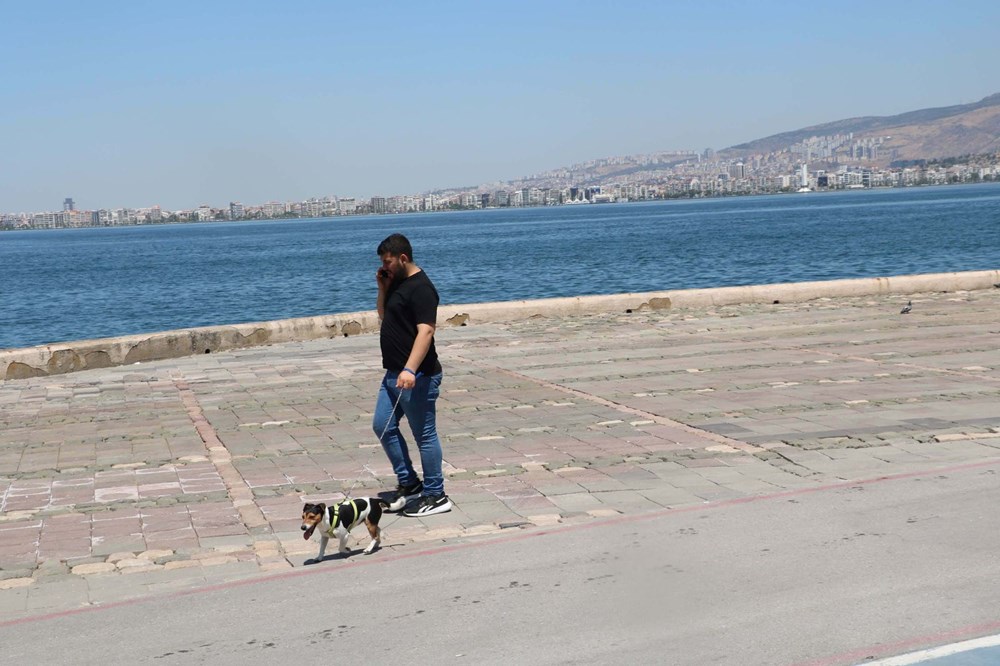 El Nino gidiyor, La Nina geliyor: Sıcaklıklara aldanmayın - 6