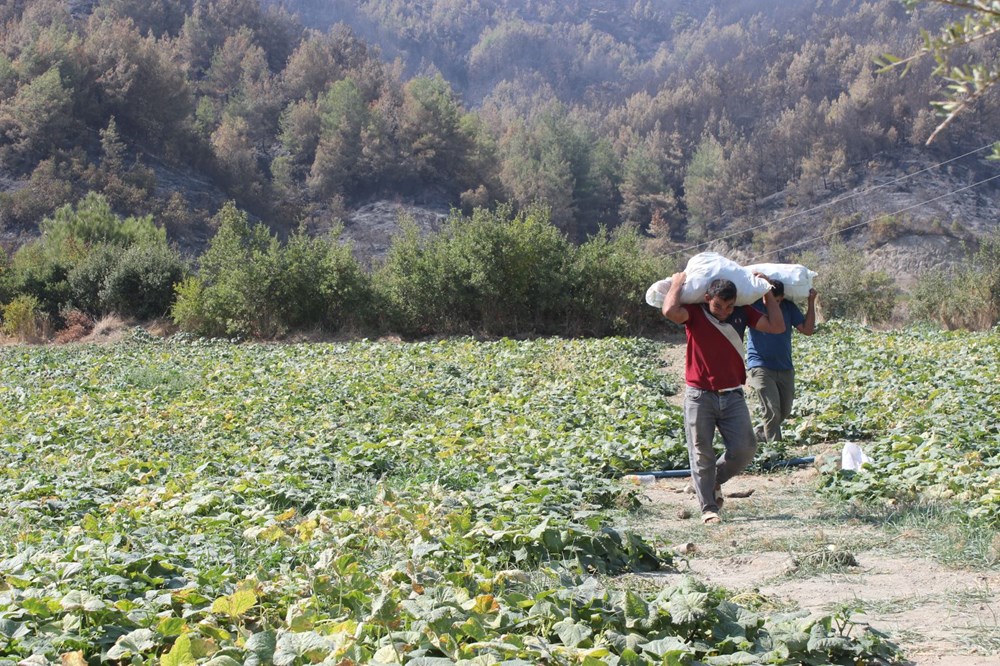 Hatay'daki orman yangını 5'inci gününde kontrol altında - 6