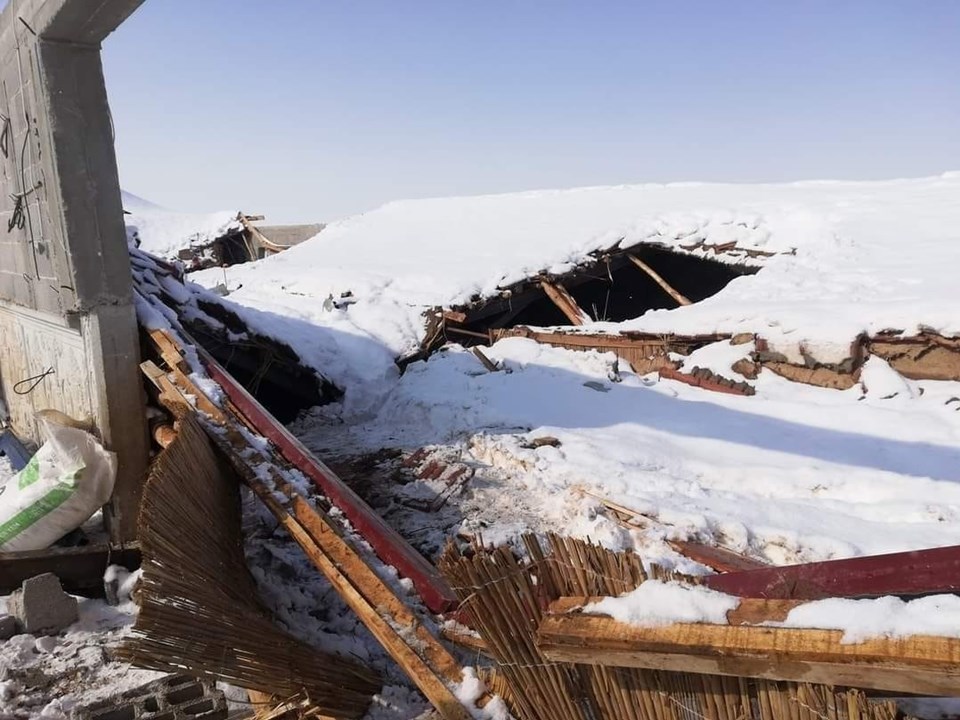 Kar nedeniyle çatısı çöken ahırdaki 300 hayvan telef oldu - 1