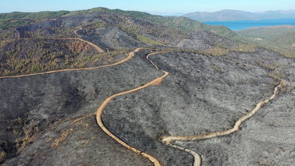 Marmaris yangını şüphelisinin iddianamesi tamamlandı: 20 yıla kadar hapis istendi - 1