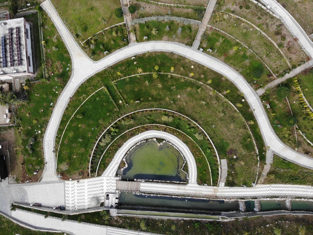 Düzce'den Dünyaya: Bir Hayalin Doğuşu 80