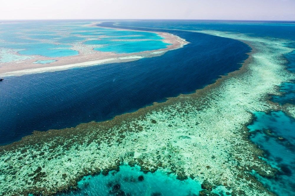 Felaket kapıda: Mercan resiflerinin yarısı 13 yıl içinde yok olabilir - 2
