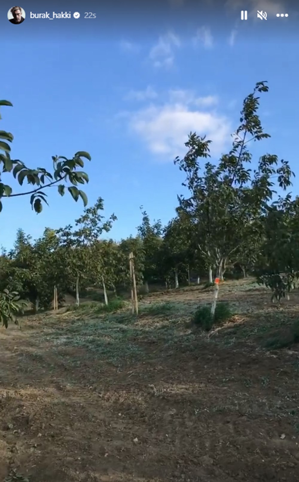 Burak Hakkı'nın çiftlik hayatı - 2