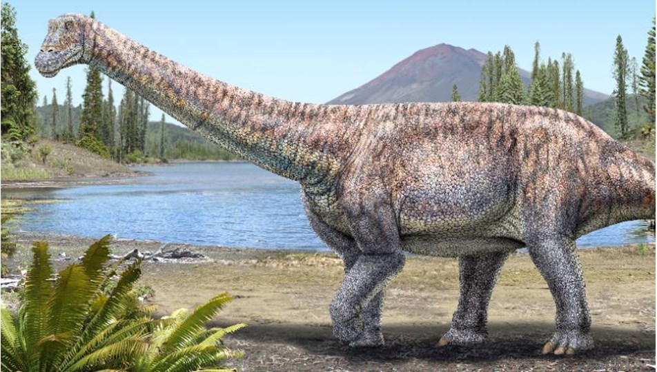 Ahtapotların dinozorlardan önce yaşamış olabileceği ileri sürüldü