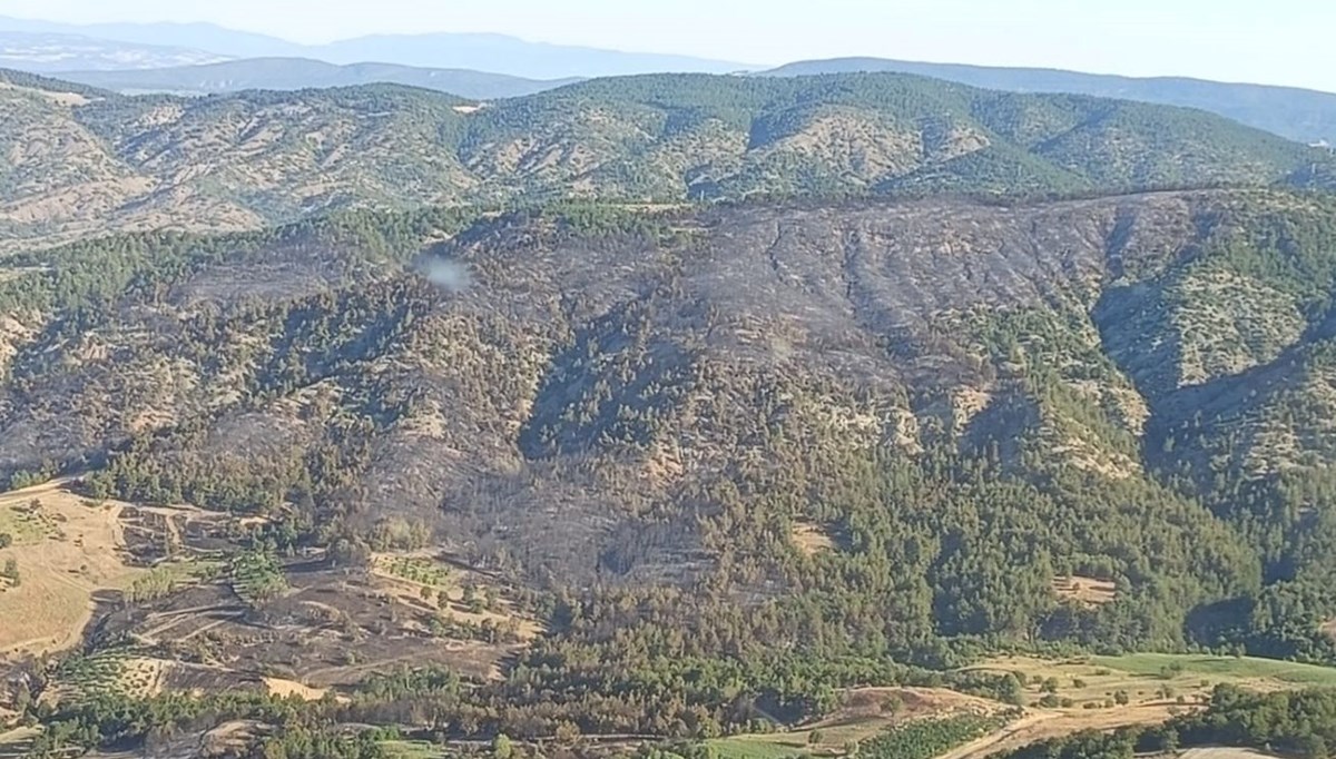 Bilecik'te orman yangını kontrol altına alındı