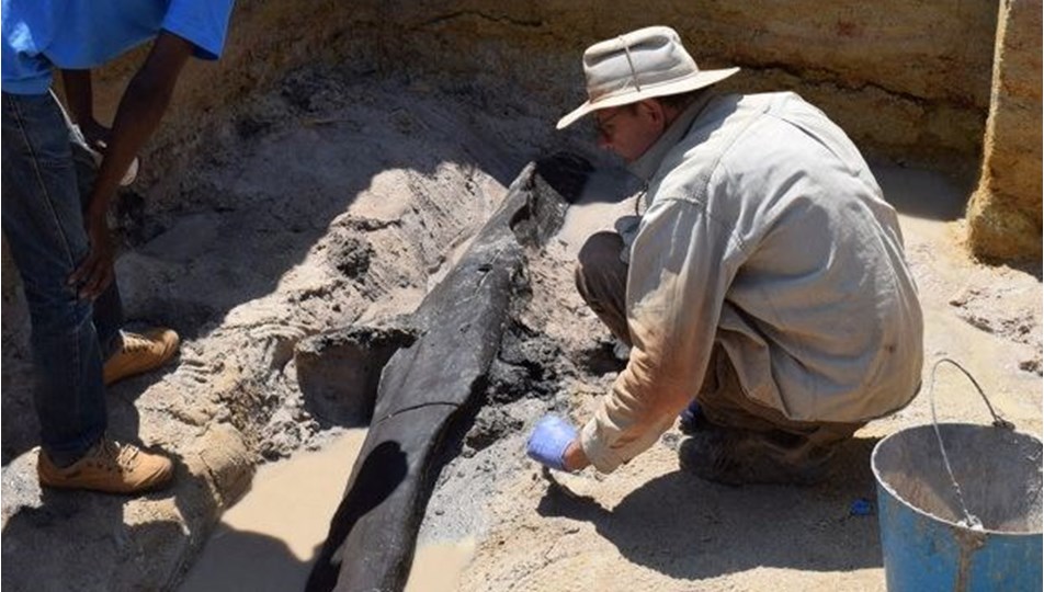 Arkeologlardan heyecanlandıran keşif: Dünyanın en eski ahşap yapısı olabilir