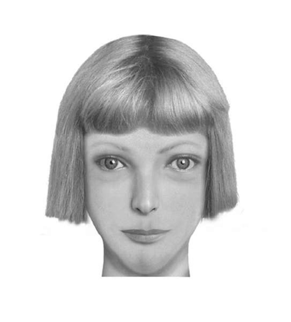 Фоторобот девушки. Алиса фоторобот. Фоторобот женщины. Фоторобот красивой девушки. Фотороботы литературных героев.