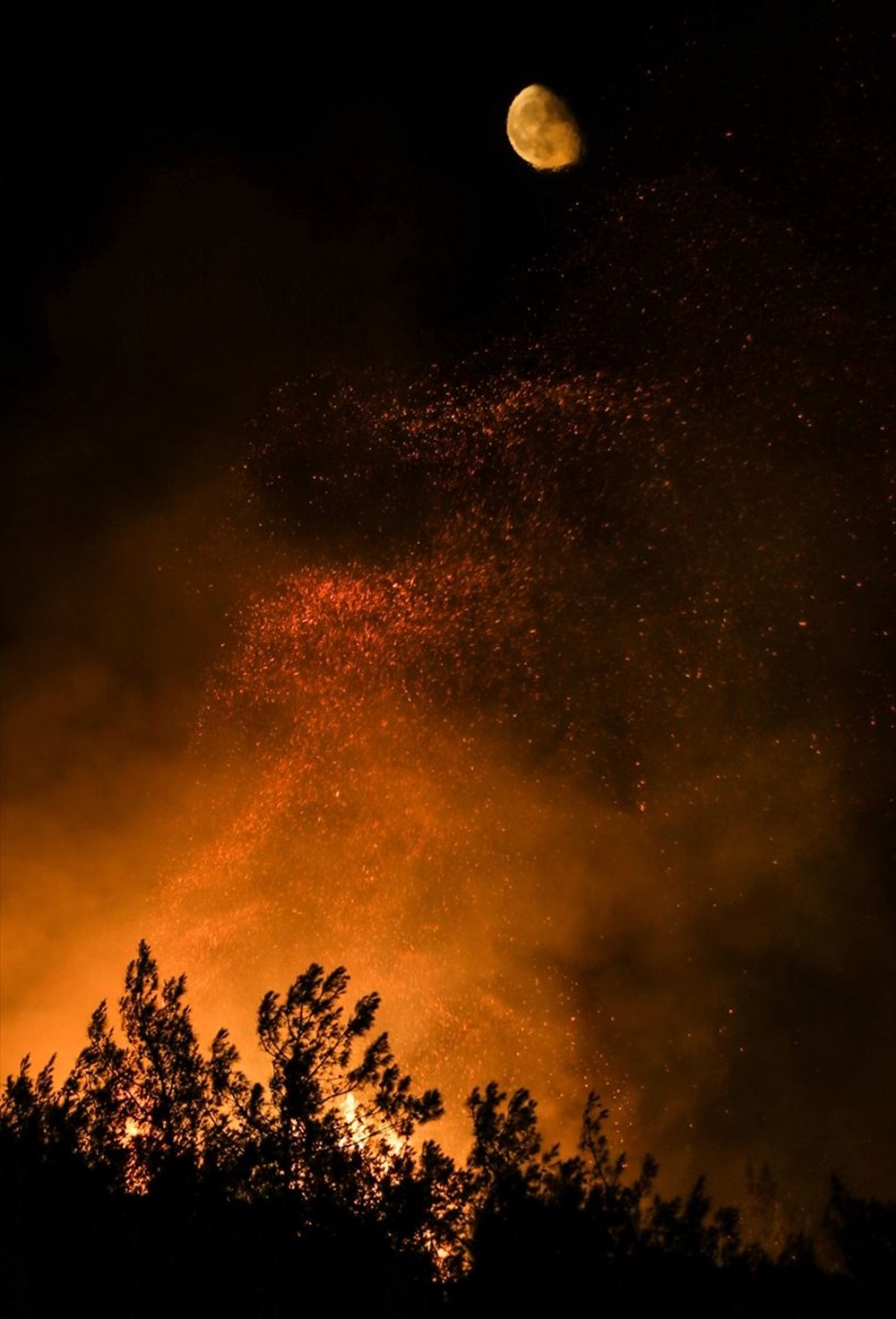 Antalya, Adana, Mersin ve Osmaniye'de orman yangınları - 29
