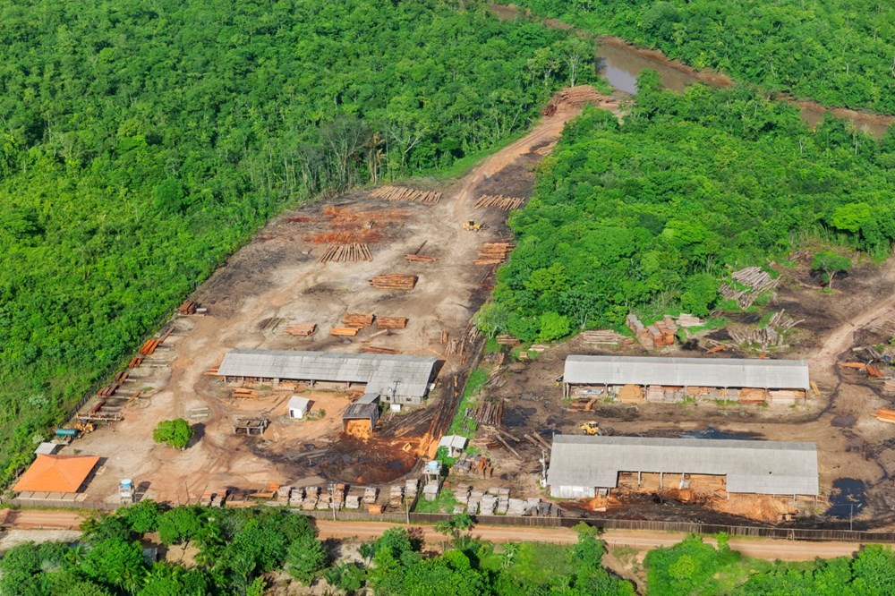 Vahşi yaşamın yüzde 70'i son 50 yılda yok oldu: Milyonlarca yıldır böylesi görülmedi - 8