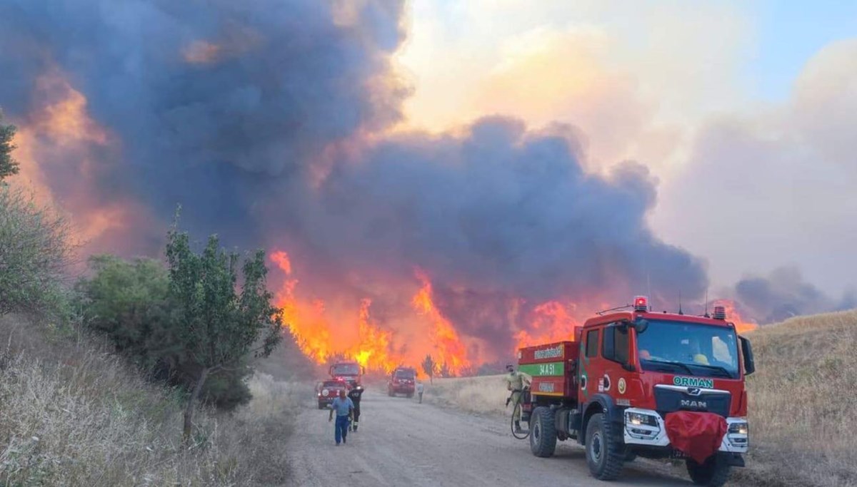 Tekirdağ'da orman yangını