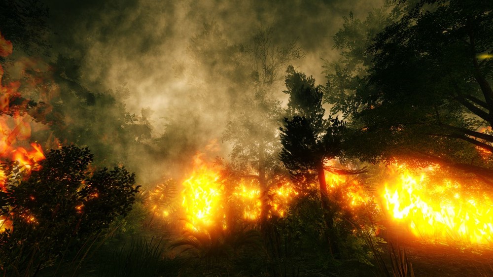 Dünyadaki bitkilerin beşte ikisi yok olma tehlikesiyle karşı karşıya - 9