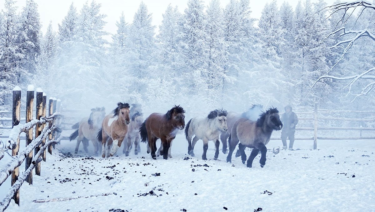Rusya'nın Oymyakon kentinde hava sıcaklığı eksi 60 derece