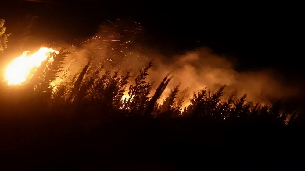 Orman yangınlarında son durum: Bazı evler küle döndü - 7