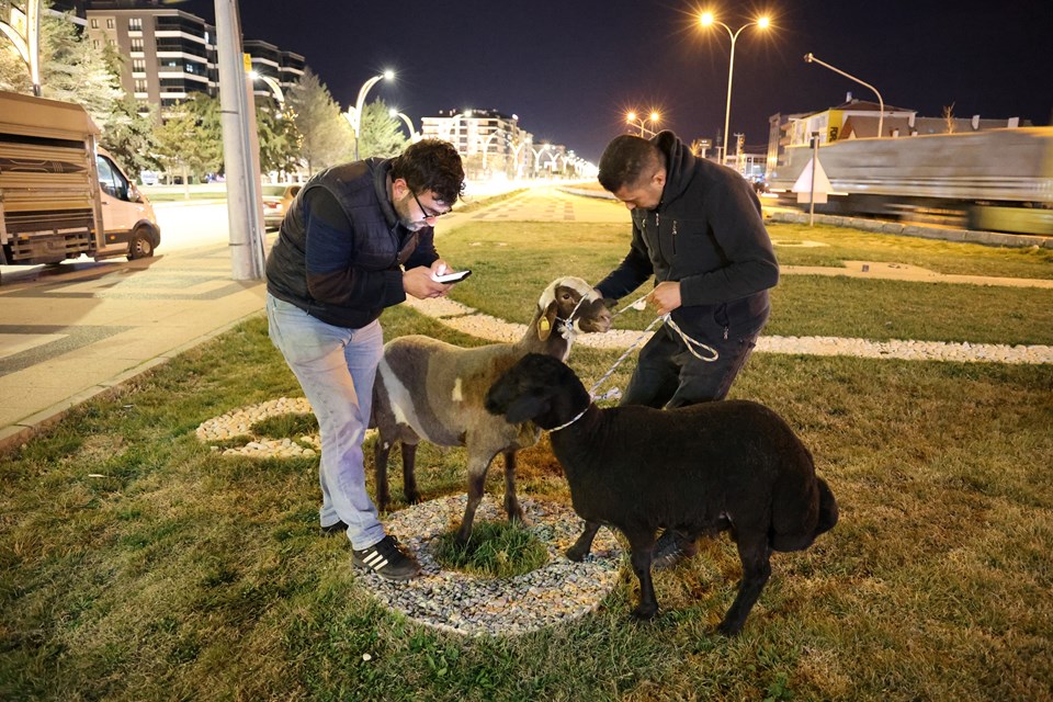 dieKa2rqbkitokCHP6CUmA