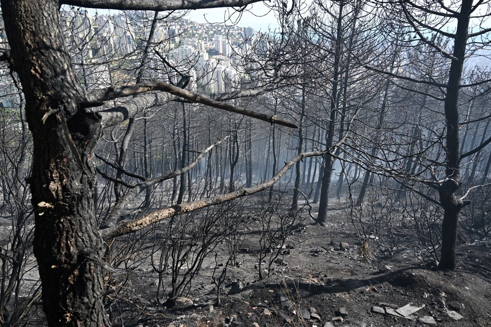 İstanbul Maltepe'de orman yangını - 5
