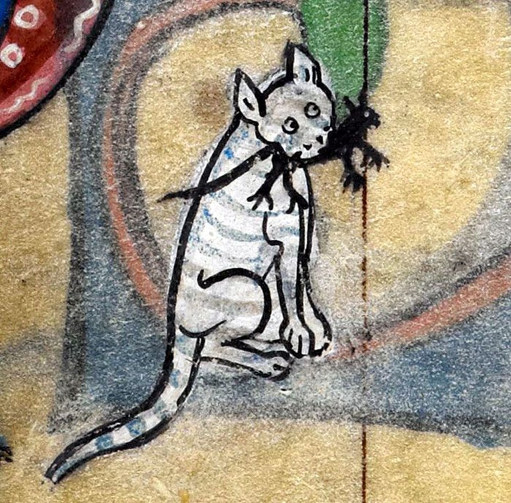 Orta Çağ ressamlarının korkutucu kedi resimleri NTV
