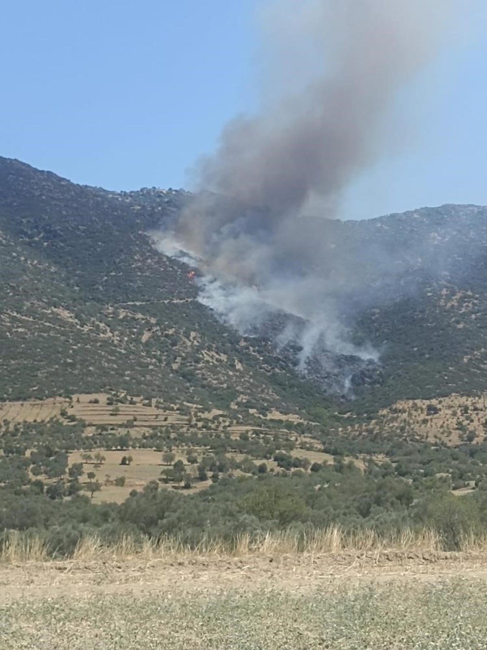 Adana Kozan'da yangın: 3 saatin ardından kontrol altına alındı - 2