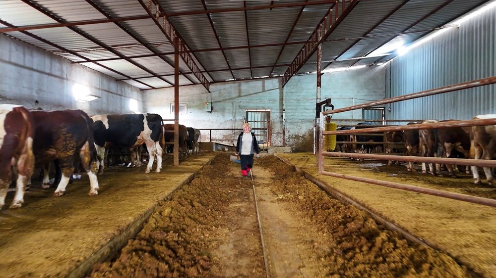 ''Kadınsın yapamazsın'' dediler, çiftlik kurdu 75 doWcPX sL0OZJKD1cYX NA