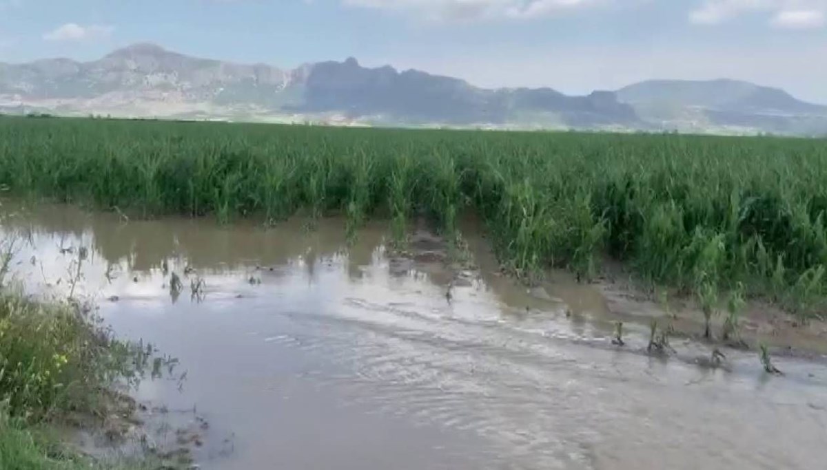 Adana'yı sağanak vurdu