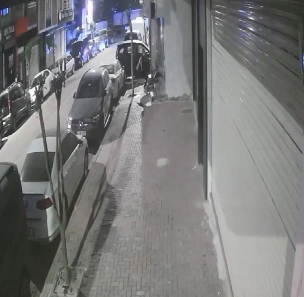 İstanbul'da pitbull dehşeti: Yavrularını emziren kediyi öldürdü - 4