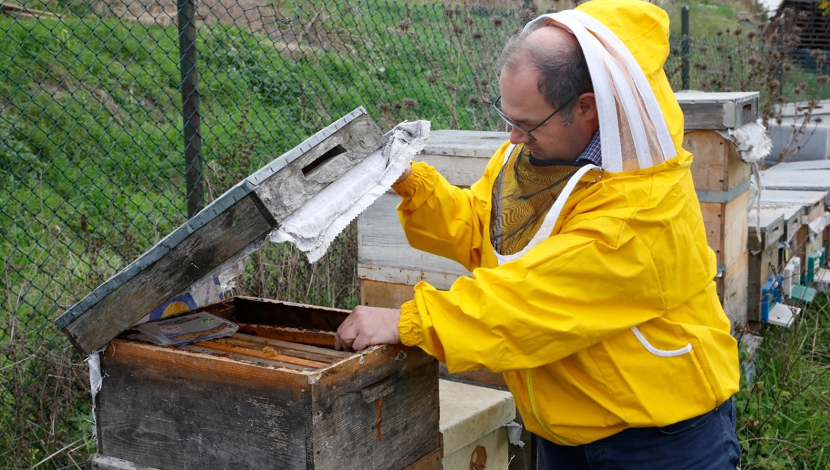 Kuraklık balı vurdu: Arılar ölüyor, üretim düşüyor