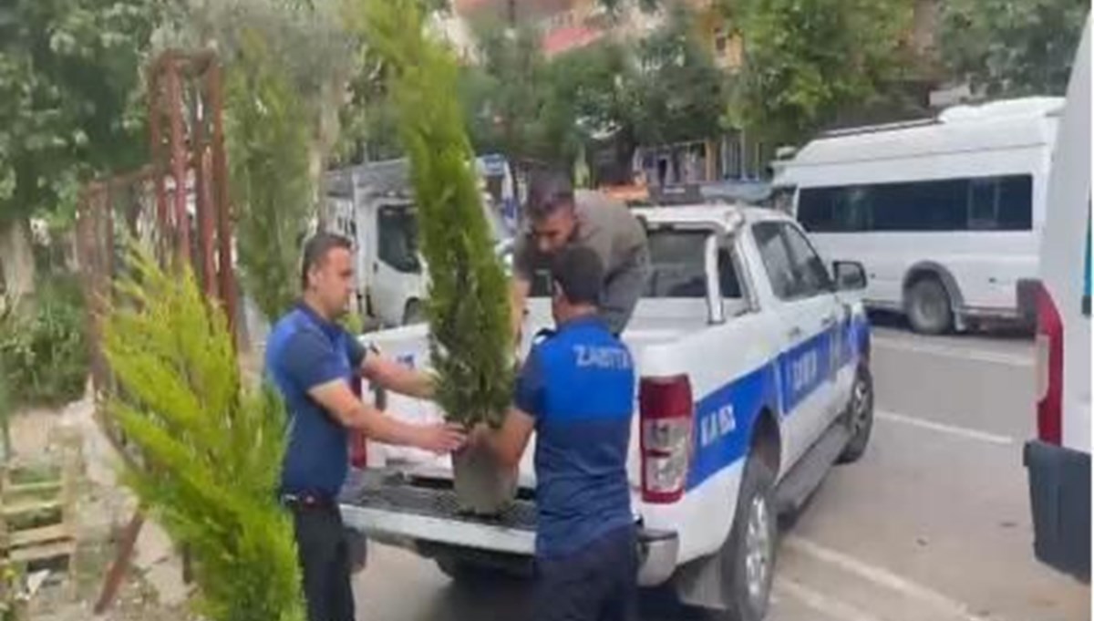 İş yeri önündeki dut ağacını kesen esnafa 10 fidan hibe etme cezası İş yeri önündeki dut ağacını kesen esnafa 10 fidan hibe etme cezası