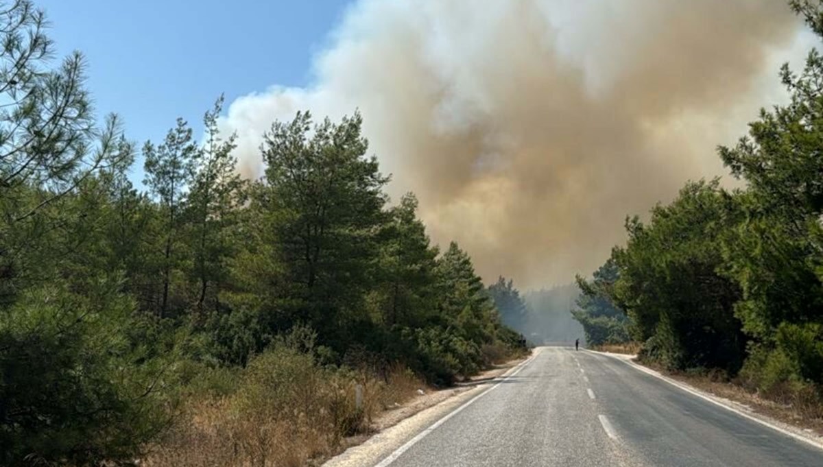 Bodrum'da orman yangını Bodrum'da orman yangını