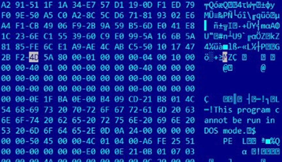 Bilgisayar güvenlik şirketi Kaspersky'nin "MiniDuke" olarak isimlendirdiği casus virus, devlet kurumlarındaki gizli belgeleri hedef aldı.