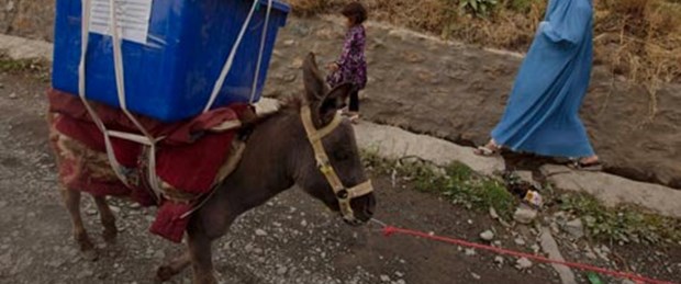 Alman ordusunun yeni silahı: Eşek