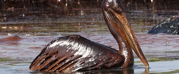 BP: Sızıntıyı azalttık