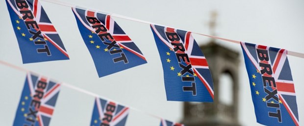 ab referandum ingiltere brexit140616.jpg