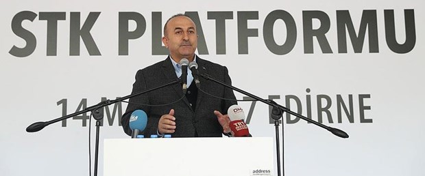 mevlüt çavuşoğlu vize serbestisi140317.jpg