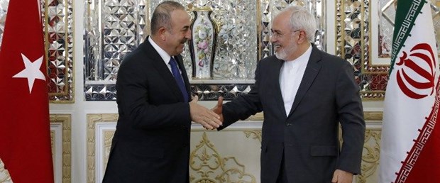 cavusoglu zarif020818.jpg
