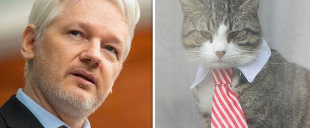julian-assange-cat-732162.jpg