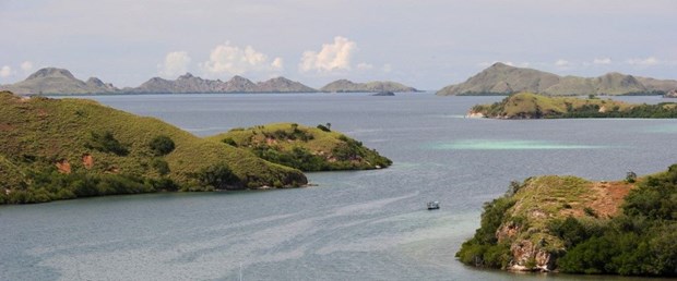 komodo adası.jpg