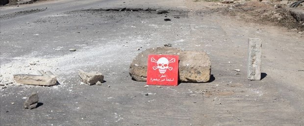 beşşar esad kimyasal silah saldırı170619.jpg