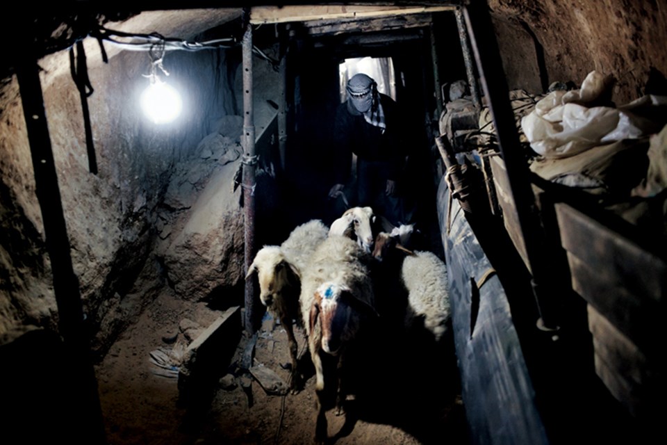 Koyun–kuzu, çoğu Gazzelinin sadece bayramlarda satın alabildiği bir lüks. Pek çok çiftlik savaştan mahvolmuş, diğer arazilerse İsrail’in girişi kısıtladığı bölgelerde boş duruyor. Ve çiftlik hayvanları Mısır’dan tünelle geliyor.
