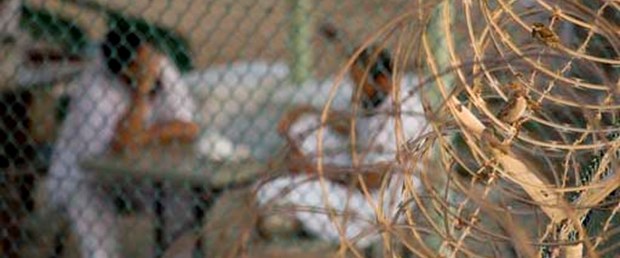 Guantanamo'dan çıkan El Kaide'ye katılıyor