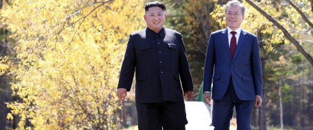 Güney Kore'den Kuzey Kore liderine övgü