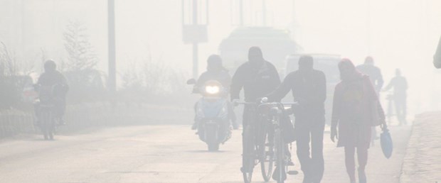 delhi.jpg