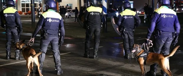hollanda polis.jpg