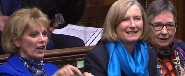 ingiltere brexit muhafazakar parti istifa200219.jpg
