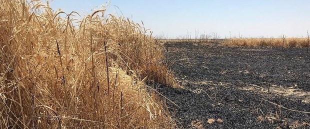 arsa yangın ırak.jpg