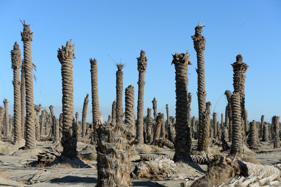 İÇLER ACISI GÖRÜNTÜLER