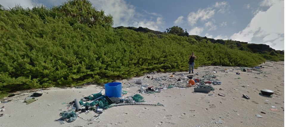 Lavers, adayı çöplüğe çeviren plastik atıkların deniz akıntılarıyla geldiğini söyledi.