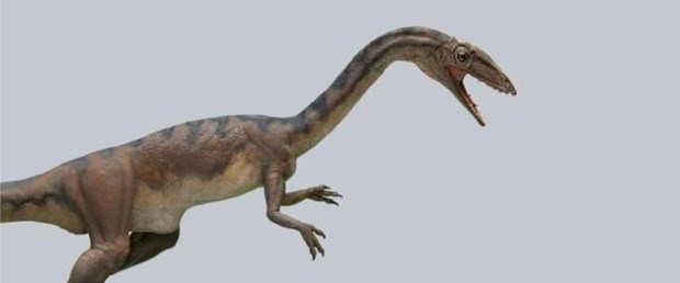 dinozor.jpg