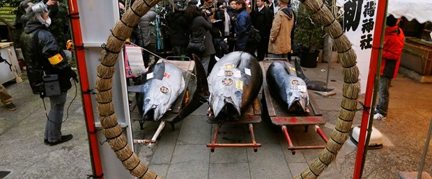 2018-01-05T003753Z_893073506_RC1A803815E0_RTRMADP_3_NEW-YEAR-JAPAN-TUNA.JPG