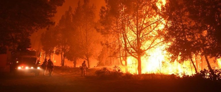 ABD'nin Kaliforniya eyaletinde 43 kişinin...