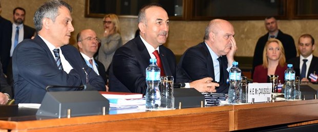 kıbrıs çavuşoğlu sinirlioğlu120117.jpg